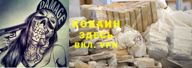 Cocaine 99%  Лодейное Поле 